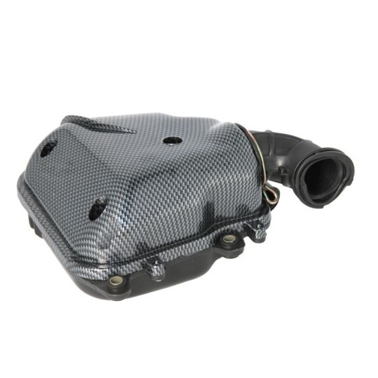 Filtru aer complet din carbon Minarelli, orizontal, Yamaha/Cpi/Keeway/Aprilia