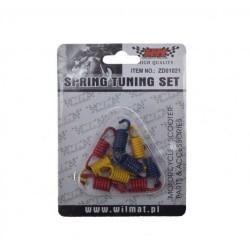 Set 9 arcuri variator tuning scuter