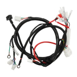 Cablaj electric cross 250