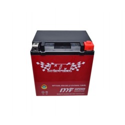 Baterie atv CF Moto YTX30L-BS 12v30ah, WM