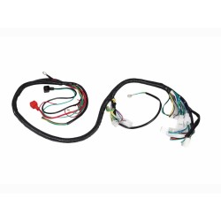 Cablaj electric atv 110-125cc pentru cdi cu 5 pini