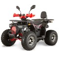 Piese ATV China