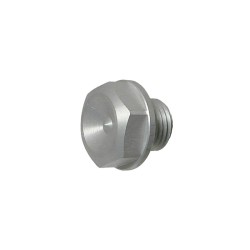 Plug screw M12X1.25 WS17 77405009065