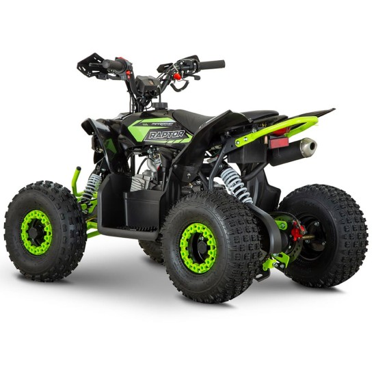 Atv copii 110cc Mini Raptor 6" automat 4T verde