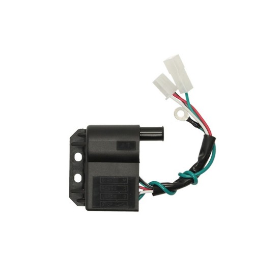 Bobina inductie RMS Malagut 50 1992-2007