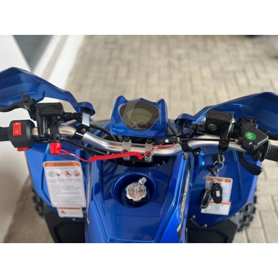 Atv Tao Coyote 8" 125cc 4T benzina albastru automat