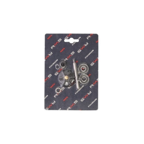 Kit pompa apa RMS Gilera,Piaggio/Vespa 50cc