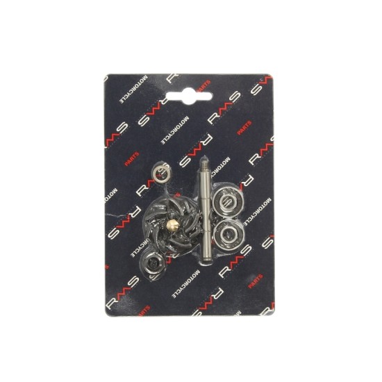 Kit pompa apa RMS Gilera,Piaggio/Vespa 125cc