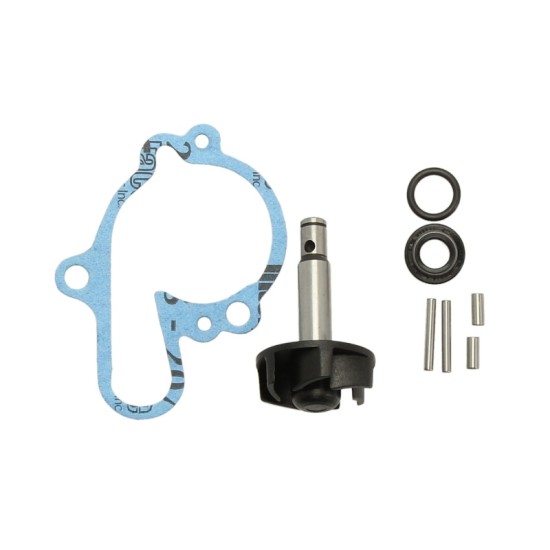 Pompa apa RMS Aprillia