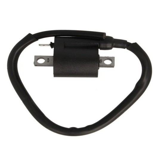 Bobina inductie RMS Aprilia,Benelli,Malaguti,Yamaha BW S 50-200