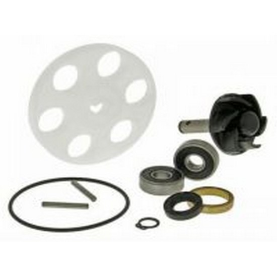 Set reparatie pompa apa Aprilia SR 50