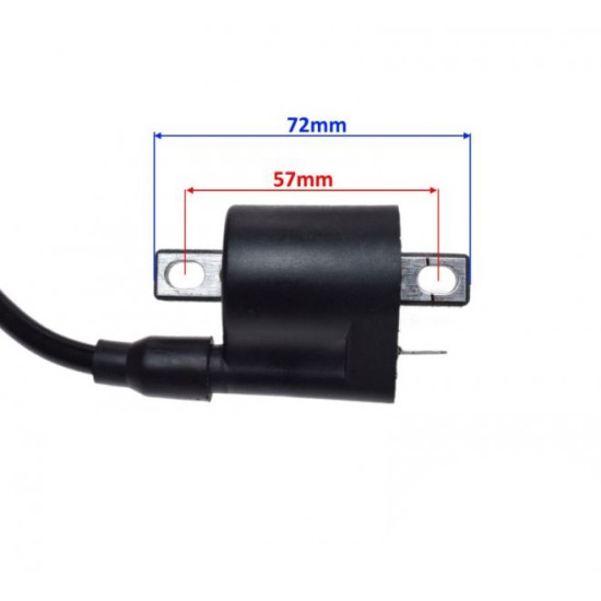 Bobina inductie 200-250cc, Rival Store