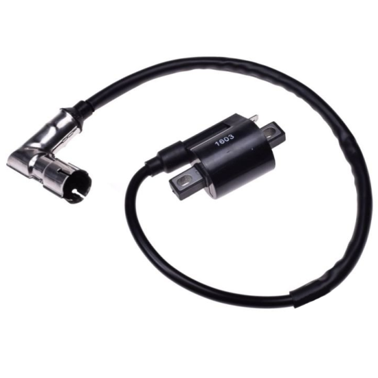 Bobina inductie atv 150-200-250cc, Rival Store