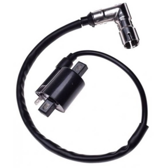 Bobina inductie atv 150-200-250cc, Rival Store