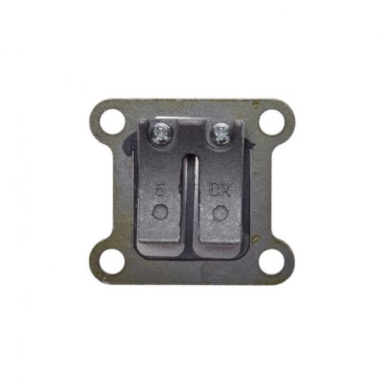 Muzicuta Pocket Bike 47-49cc 2T, Rival Store