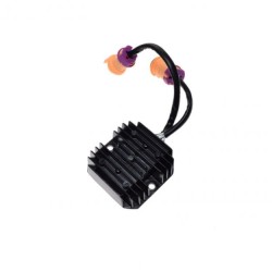 Releu incarcare Bashan 250S5B/Jianshe, Rival Store