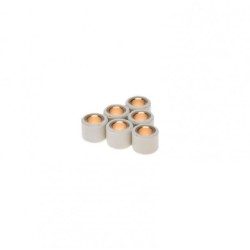 Set 6 role variator scuter 16x13, 9.5g, Rival Store