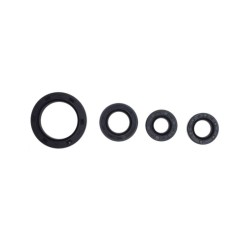 Set simeringuri 200-250cc, Loncin / Bloc CG, Rival Store